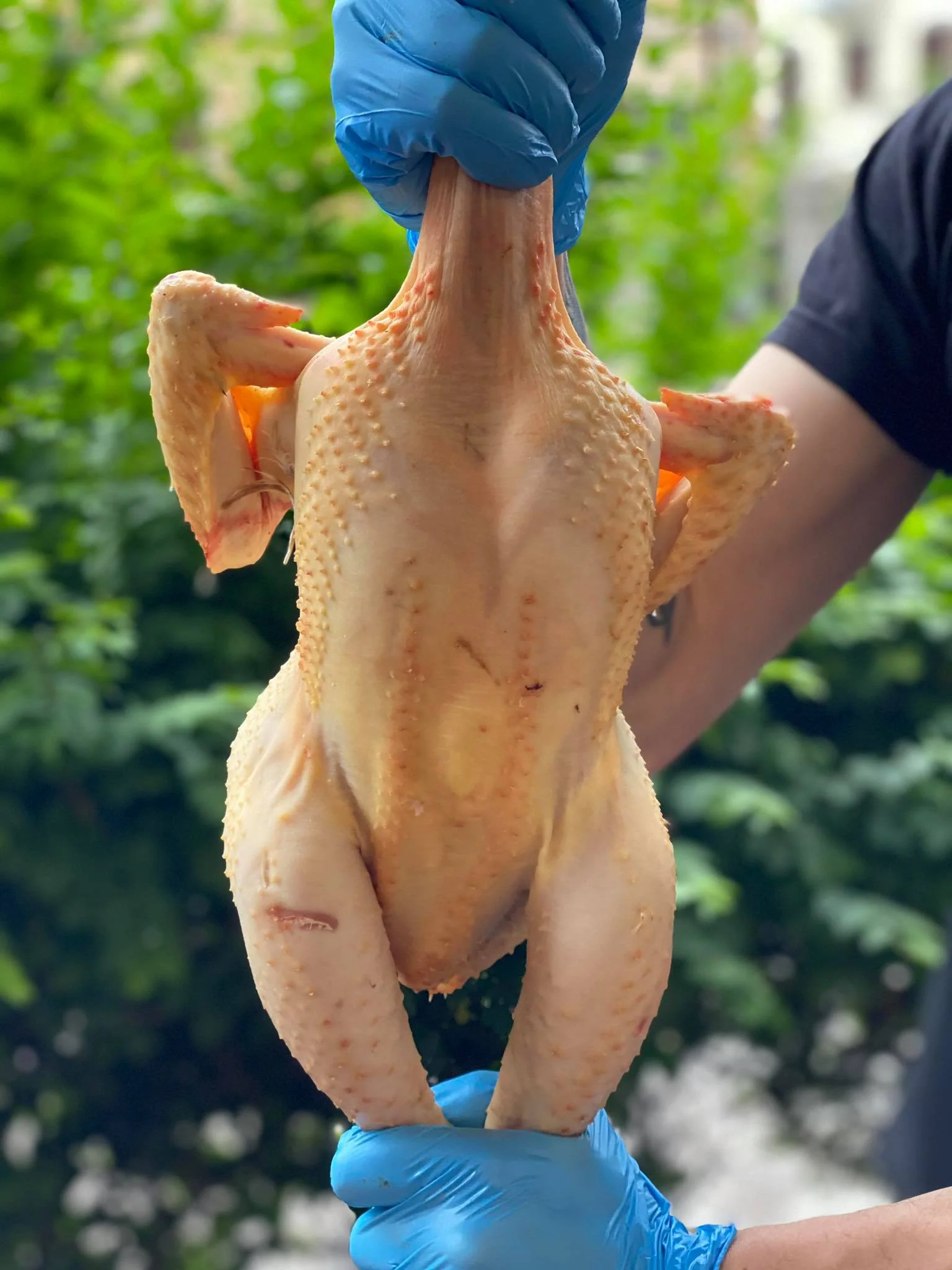 Pollo ruspante dell'Umbria - Image 3